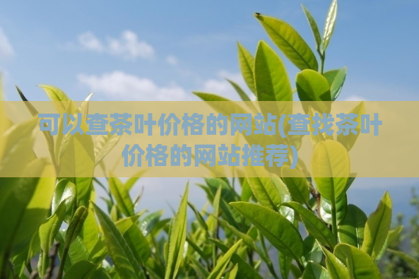 可以查茶叶价格的网站(查找茶叶价格的网站推荐)  第1张