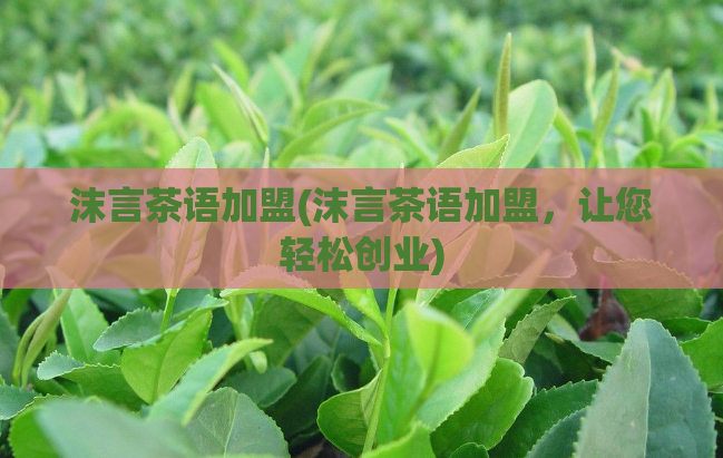 沫言茶语加盟(沫言茶语加盟，让您轻松创业)  第1张