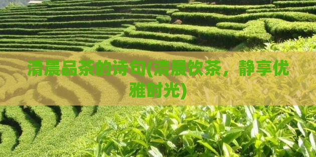 清晨品茶的诗句(清晨饮茶，静享优雅时光)  第1张