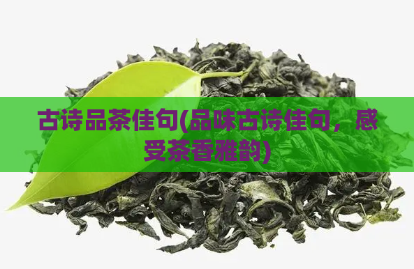 古诗品茶佳句(品味古诗佳句，感受茶香雅韵)  第1张