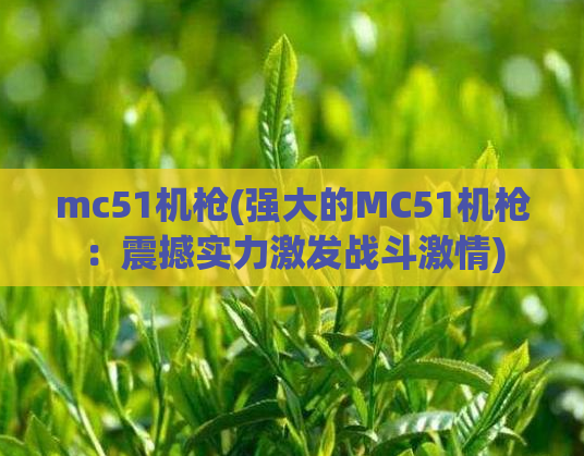 mc51机枪(强大的MC51机枪：震撼实力激发战斗激情)  第1张