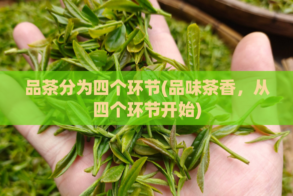 品茶分为四个环节(品味茶香，从四个环节开始)  第1张