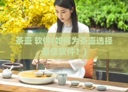 茶壶 软件(如何为茶壶选择最佳软件？)  第1张