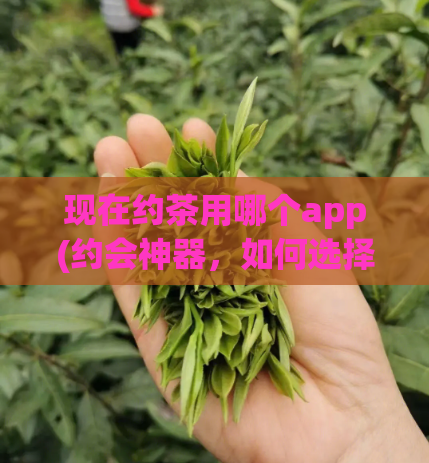 现在约茶用哪个app(约会神器，如何选择最适合你的约茶 app？)  第1张