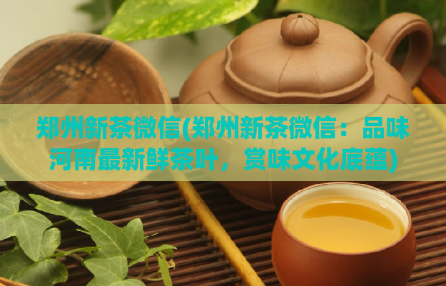 郑州新茶微信(郑州新茶微信：品味河南最新鲜茶叶，赏味文化底蕴)  第1张