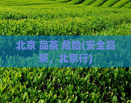 北京 品茶 危险(安全品茶，北京行)  第1张