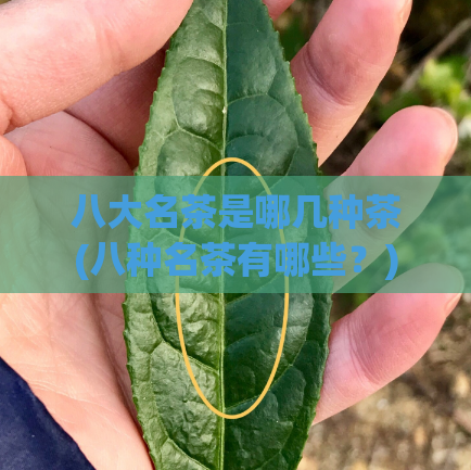 八大名茶是哪几种茶(八种名茶有哪些？)  第1张