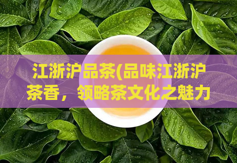 江浙沪品茶(品味江浙沪茶香，领略茶文化之魅力)  第1张