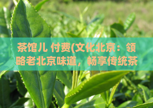 茶馆儿 付费(文化北京：领略老北京味道，畅享传统茶馆文化。)  第1张