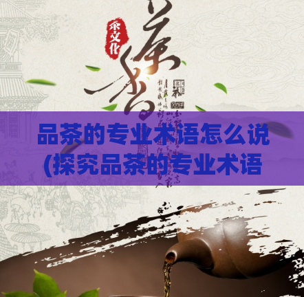 品茶的专业术语怎么说(探究品茶的专业术语与含义)  第1张