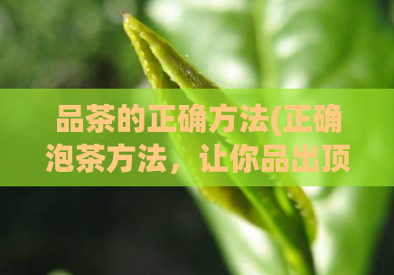 品茶的正确方法(正确泡茶方法，让你品出顶级口感)  第1张