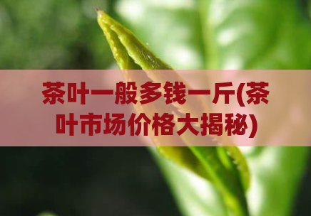 茶叶一般多钱一斤(茶叶市场价格大揭秘)  第1张