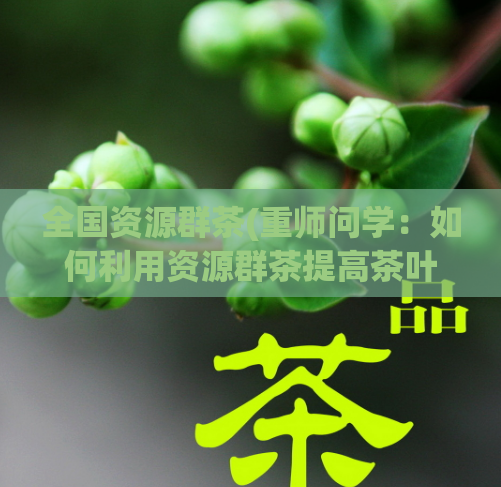 全国资源群茶(重师问学：如何利用资源群茶提高茶叶品质？)  第1张