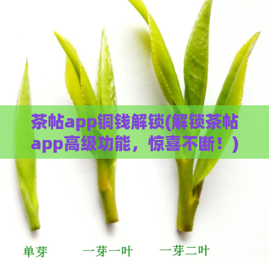 茶帖app铜钱解锁(解锁茶帖app高级功能，惊喜不断！)  第1张