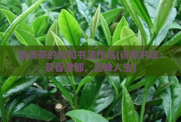 赞美茶的诗句书法作品(诗意书法：茶香浓郁，品味人生)  第1张