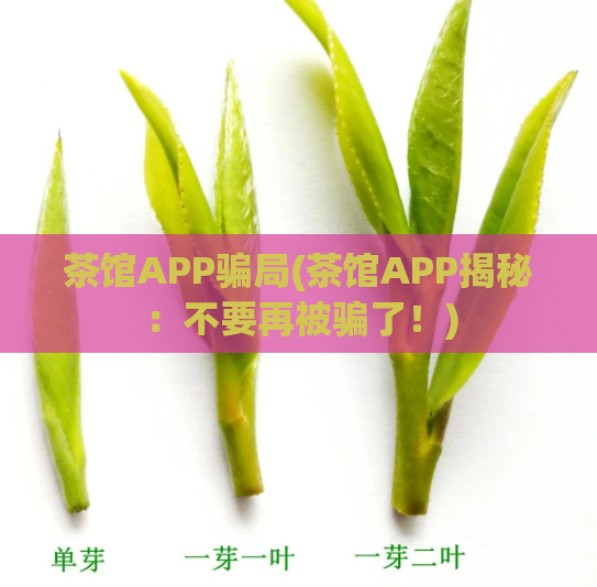 茶馆APP骗局(茶馆APP揭秘：不要再被骗了！)  第1张