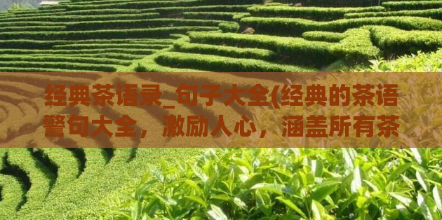 经典茶语录_句子大全(经典的茶语警句大全，激励人心，涵盖所有茶文化方面的智慧。)  第1张