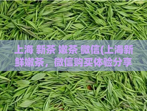 上海 新茶 嫩茶 微信(上海新鲜嫩茶，微信购买体验分享)  第1张