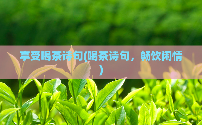 享受喝茶诗句(喝茶诗句，畅饮闲情)  第1张