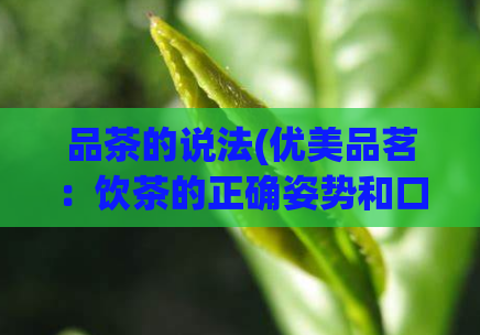 品茶的说法(优美品茗：饮茶的正确姿势和口感调配法)  第1张