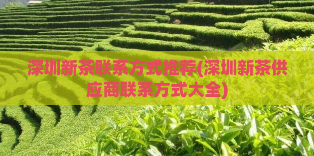 深圳新茶联系方式推荐(深圳新茶供应商联系方式大全)  第1张