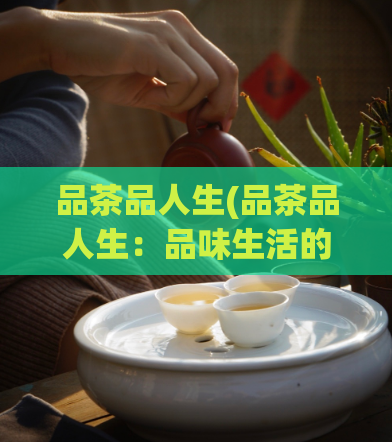 品茶品人生(品茶品人生：品味生活的真谛)  第1张