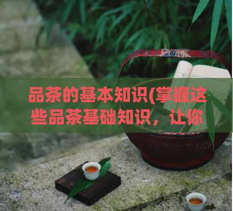 品茶的基本知识(掌握这些品茶基础知识，让你成为专业品茶人)  第1张