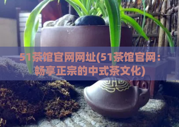 51茶馆官网网址(51茶馆官网：畅享正宗的中式茶文化)  第1张