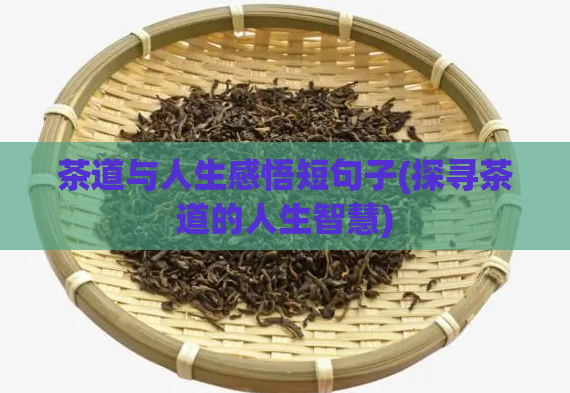 茶道与人生感悟短句子(探寻茶道的人生智慧)  第1张