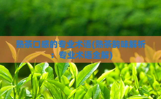 熟茶口感的专业术语(熟茶韵味解析：专业术语全解)  第1张