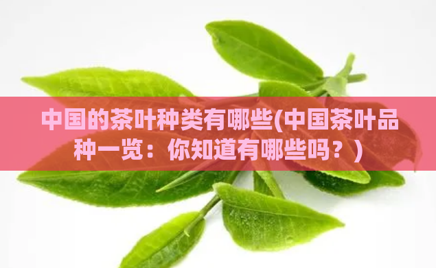 中国的茶叶种类有哪些(中国茶叶品种一览：你知道有哪些吗？)  第1张