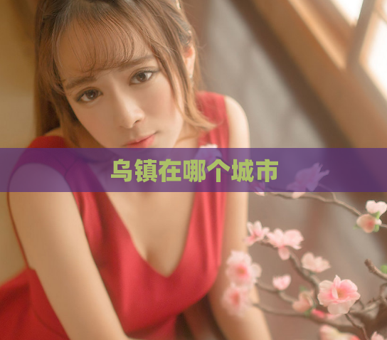 乌镇在哪个城市  第1张