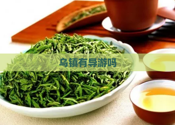 乌镇有导游吗  第1张