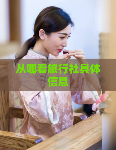 从哪看旅行社具体信息  第1张