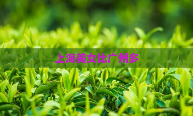 上海美女比广州多  第1张