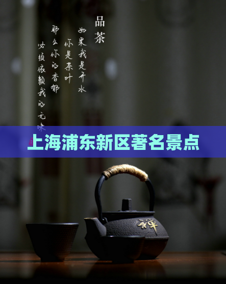 上海浦东新区著名景点  第1张