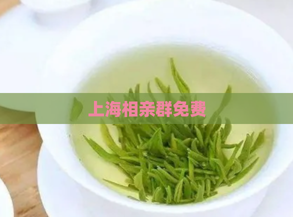 上海相亲群免费  第1张