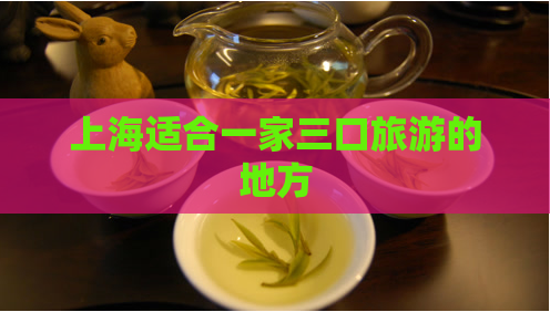 上海适合一家三口旅游的地方  第1张
