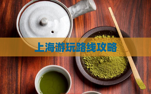 上海游玩路线攻略  第1张