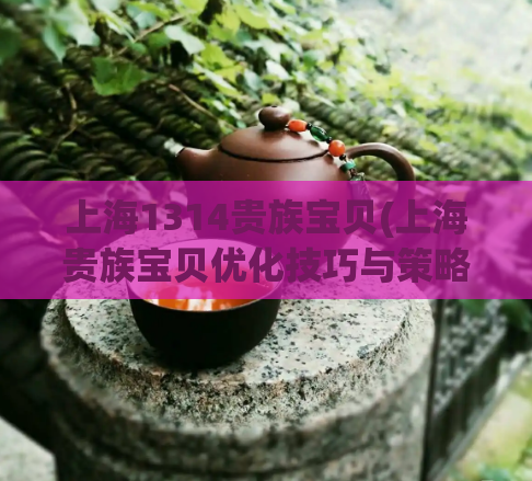 上海1314贵族宝贝(上海贵族宝贝优化技巧与策略探讨)  第1张
