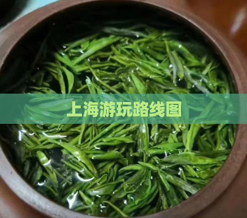 上海游玩路线图  第1张