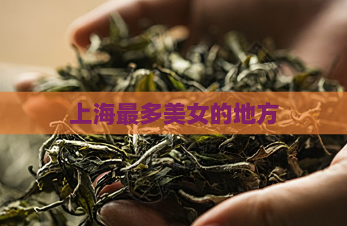 上海最多美女的地方  第1张