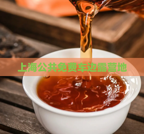 上海公共免费车边露营地  第1张