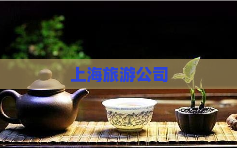 上海旅游公司  第1张