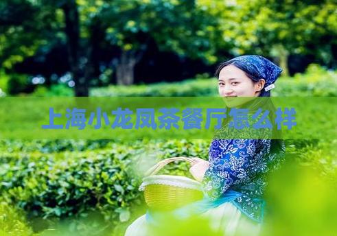 上海小龙凤茶餐厅怎么样  第1张