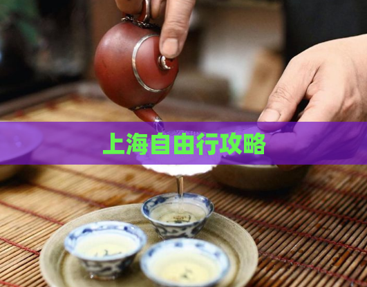 上海自由行攻略  第1张