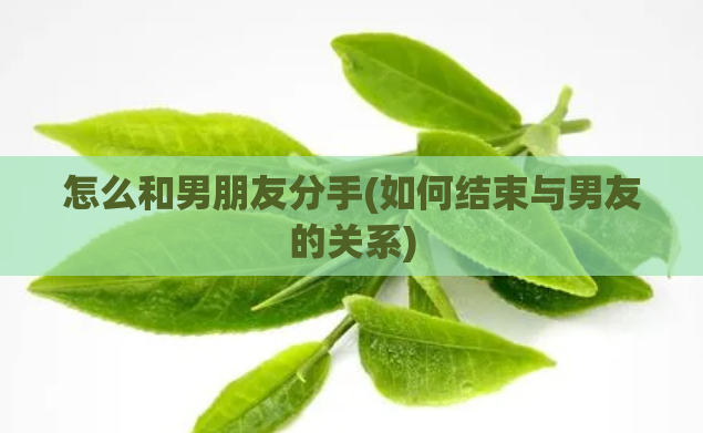 怎么和男朋友分手(如何结束与男友的关系)  第1张