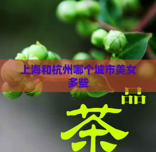 上海和杭州哪个城市美女多些  第1张