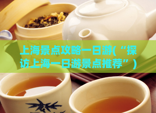上海景点攻略一日游(“探访上海一日游景点推荐”)  第1张