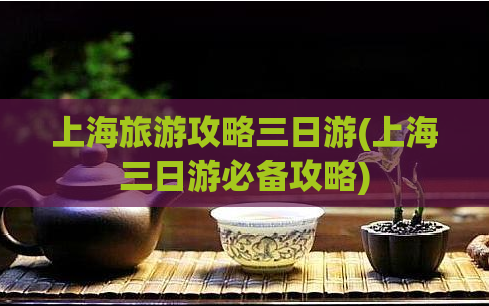 上海旅游攻略三日游(上海三日游必备攻略)  第1张